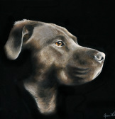 dog portrait custom dog lover gift