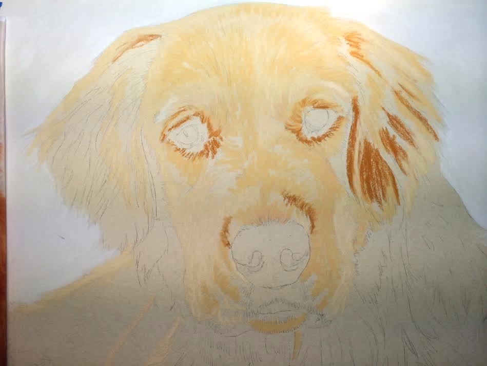 how to draw a dog custom pet portrait
