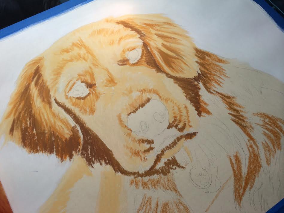 golden retriever dog portrait jenna harrison imagine art