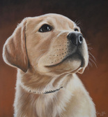 custom pet portrait puppy gift