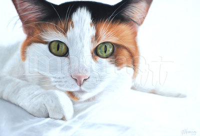 cat portrait painting gift imagine art custom pet art