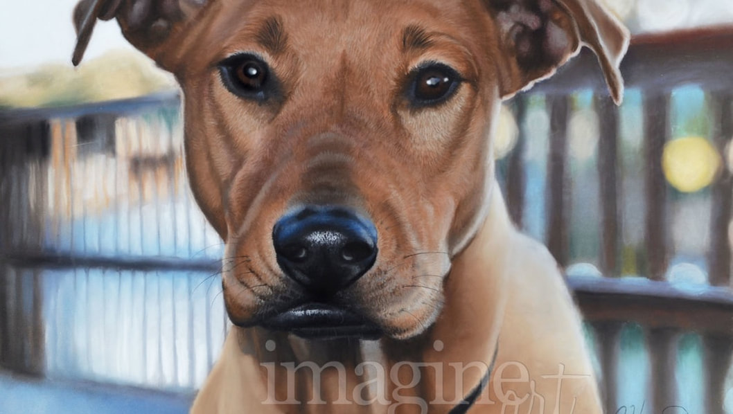 custom dog portrait gift memorial imagine art
