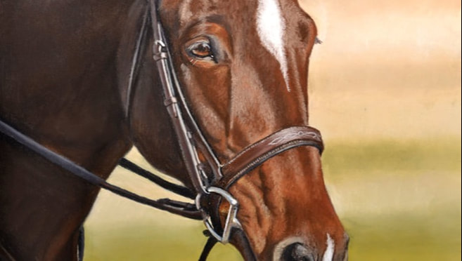 horse equine portrait painting art imagine art
